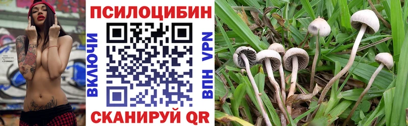 Купить где  Вуктыл  Псилоцибиновые грибы прущие грибы 